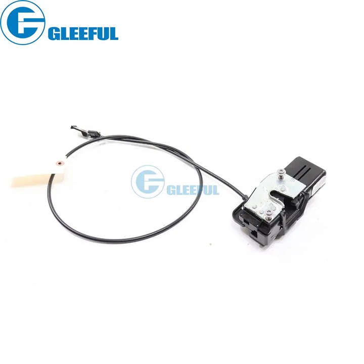 upload/pic/Tesla Model S Door Lock Actuator 6008911-00-D-1.jpg